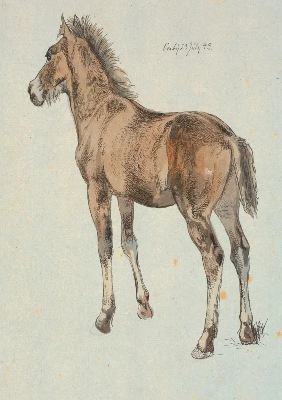 Johan T. Lundbye | Ein stehendes Fohlen - 1843 | Gerahmter Kunstdruck | Goldenes Zeitalter Dänemark | formida