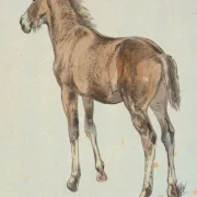 Johan T. Lundbye | Ein stehendes Fohlen - 1843 | Gerahmter Kunstdruck | Goldenes Zeitalter Dänemark | formida