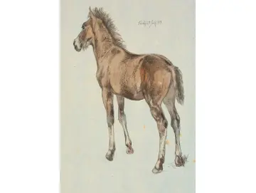 Johan T. Lundbye | Ein stehendes Fohlen - 1843 | Gerahmter Kunstdruck | Goldenes Zeitalter Dänemark | formida