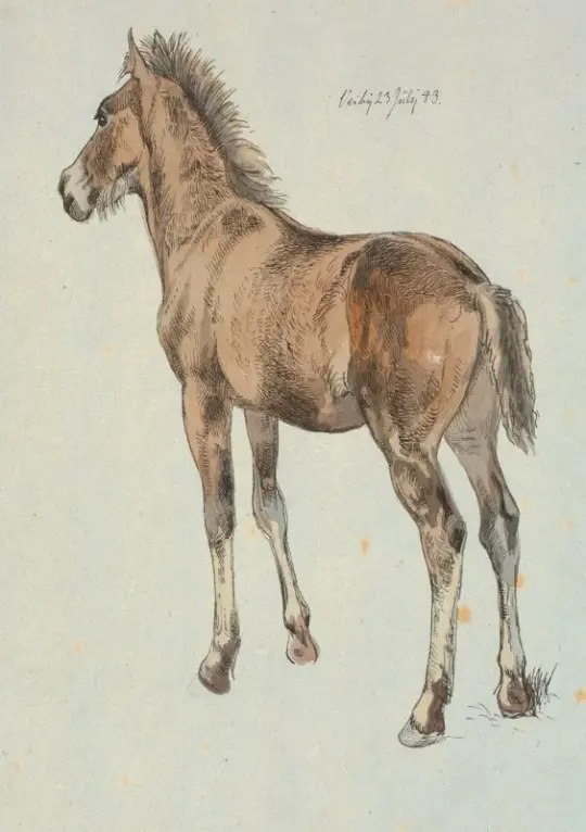 Johan T. Lundbye | Et stående føl - 1843 | Indrammet kunsttryk | Danmarks Guldalder | formida