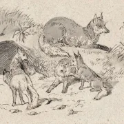 Johan T. Lundbye | Ræven - 1843 | Indrammet kunsttryk | Danmarks Guldalder | formida