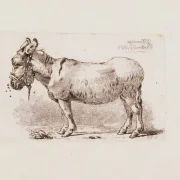 Johan T. Lundbye | Et æsel plaget af fluer - 1834 | Indrammet kunsttryk | Danmarks Guldalder | formida