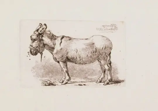 Johan T. Lundbye | Et æsel plaget af fluer - 1834 | Indrammet kunsttryk | Danmarks Guldalder | formida