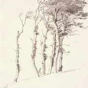Johan T. Lundbye | Gruppe windgepeitschter Bäume - 1841 | Gerahmter Kunstdruck | Goldenes Zeitalter Dänemark | formida