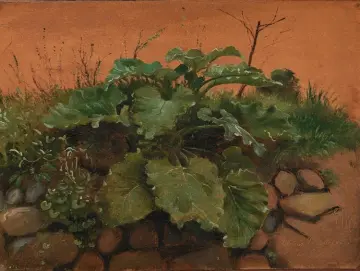 Johan T. Lundbye | Eine Klette und andere Pflanzen auf einer Steinmauer – 1847 | Gerahmter Kunstdruck | Goldenes Zeitalter Dänemark | formida