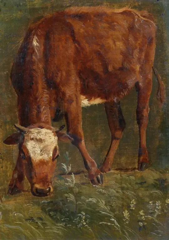 Johan T. Lundbye | Græssende rød kvie - 1843 | Indrammet kunsttryk | Danmarks Guldalder | formida