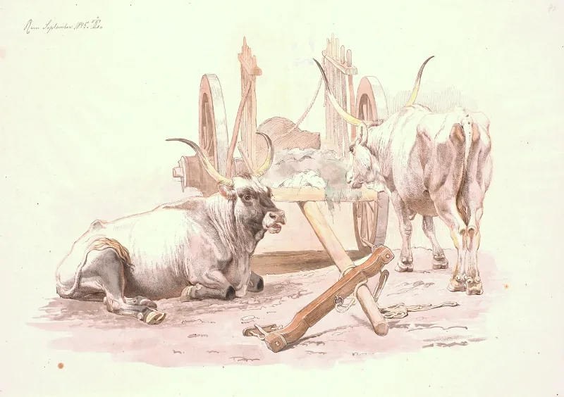 Johan T. Lundbye | En liggende og en stående okse - 1848 | Indrammet kunsttryk | Danmarks Guldalder | formida