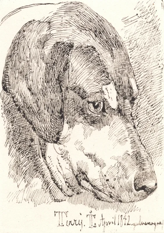 Johan T. Lundbye | Hundehoved - 1842 | Indrammet kunsttryk | Danmarks Guldalder | formida