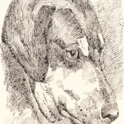 Johan T. Lundbye | Hundehoved - 1842 | Indrammet kunsttryk | Danmarks Guldalder | formida