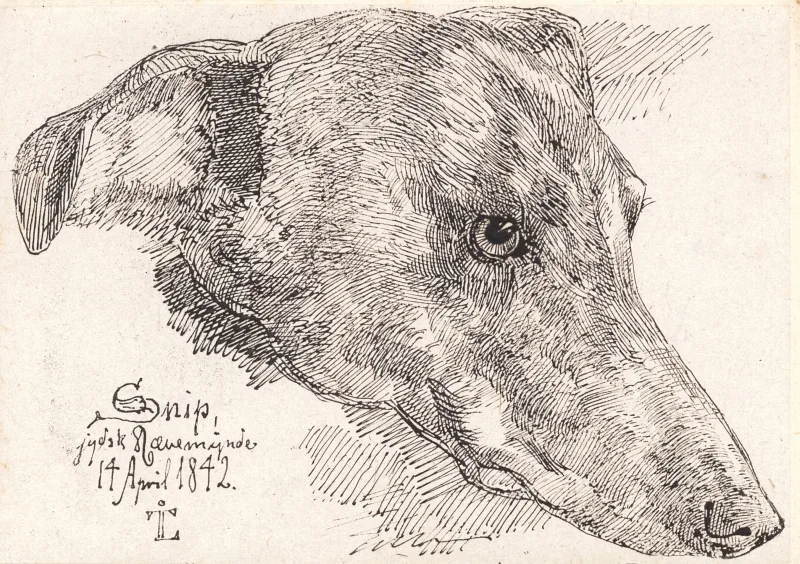 Johan T. Lundbye | Hundehoved - 1842 | Indrammet kunsttryk | Danmarks Guldalder | formida