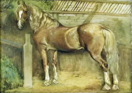 Johan T. Lundbye | Sekstenårig hingst af Knabstrup-racen - 1847 | Indrammet kunsttryk | Danmarks Guldalder | formida