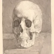 Johan T. Lundbye | Kranium, set forfra - 1839 | Indrammet kunsttryk | Danmarks Guldalder | formida