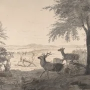 Johan T. Lundbye | View of Dyrehaven - 1838 | Indrammet kunsttryk | Danmarks Guldalder | formida