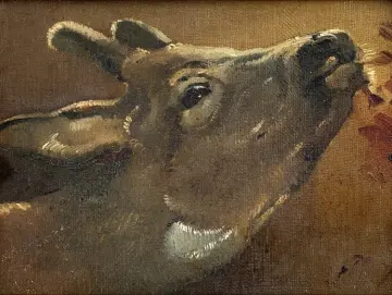 Jörgen Roed | Studie eines Hirsches – 1874 | Gerahmter Kunstdruck | Goldenes Zeitalter Dänemark | formida