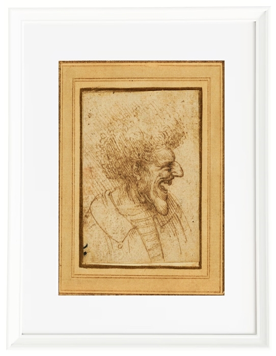 Caricature of a man with Bushy Hair - 1495