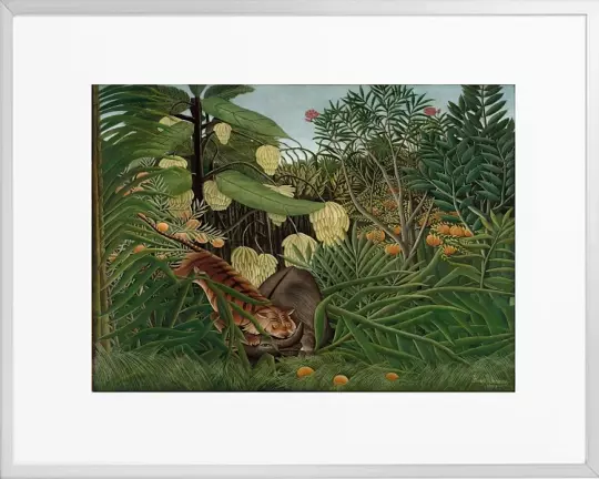 Kampf zwischen einem Tiger und einem Büffel – 1908