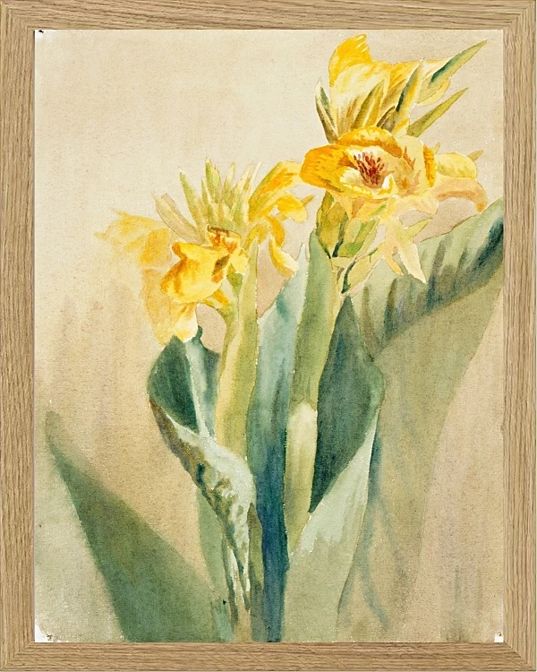 Kana - 1915