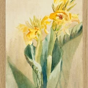 Kana - 1915