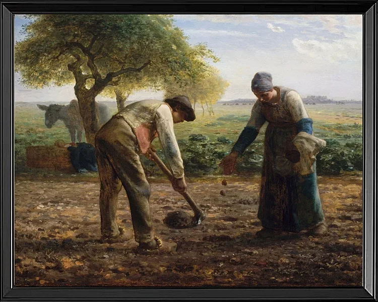 Kartoffel Pflanzer  – 1861