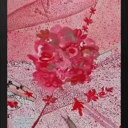 Kirschblüte