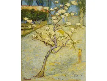 Kleiner Birnbaum in Blüte - 1888