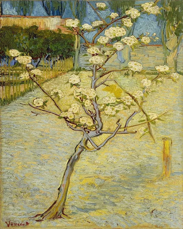 Kleiner Birnbaum in Blüte - 1888