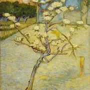 Kleiner Birnbaum in Blüte - 1888