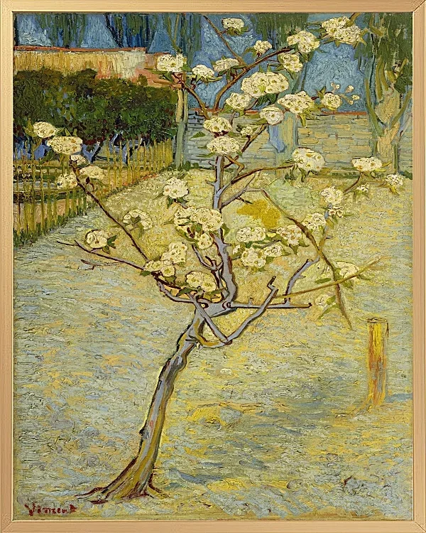 Kleiner Birnbaum in Blüte - 1888
