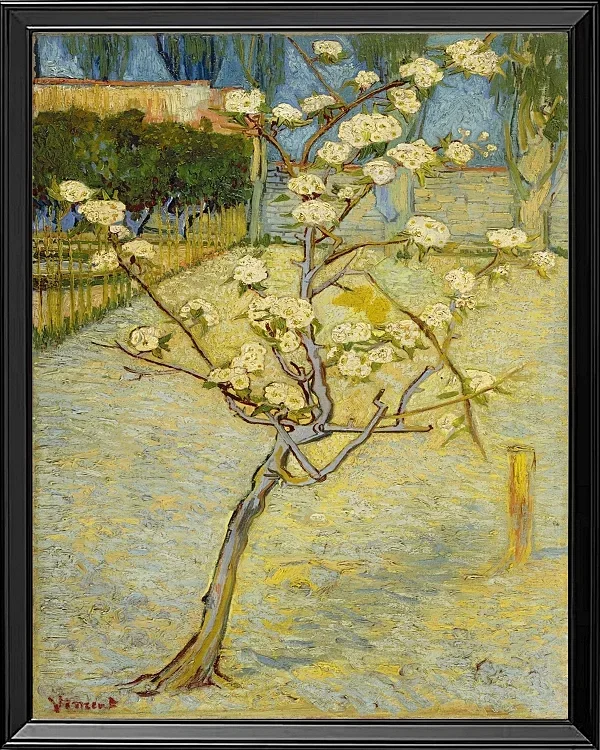 Kleiner Birnbaum in Blüte - 1888