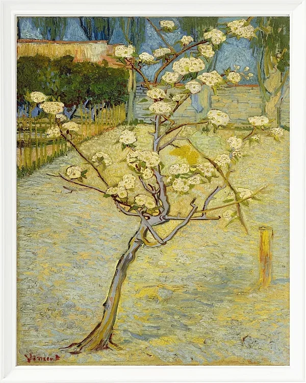 Kleiner Birnbaum in Blüte - 1888