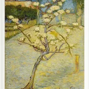Kleiner Birnbaum in Blüte - 1888