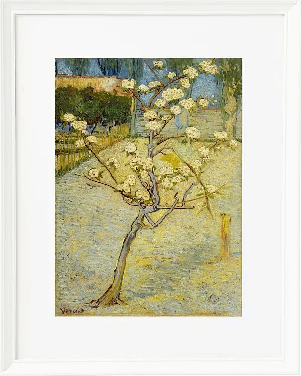 Kleiner Birnbaum in Blüte - 1888