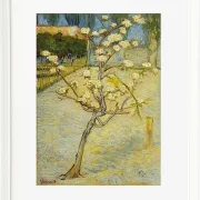 Kleiner Birnbaum in Blüte - 1888