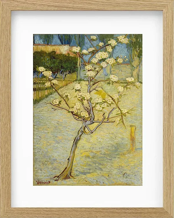 Kleiner Birnbaum in Blüte - 1888