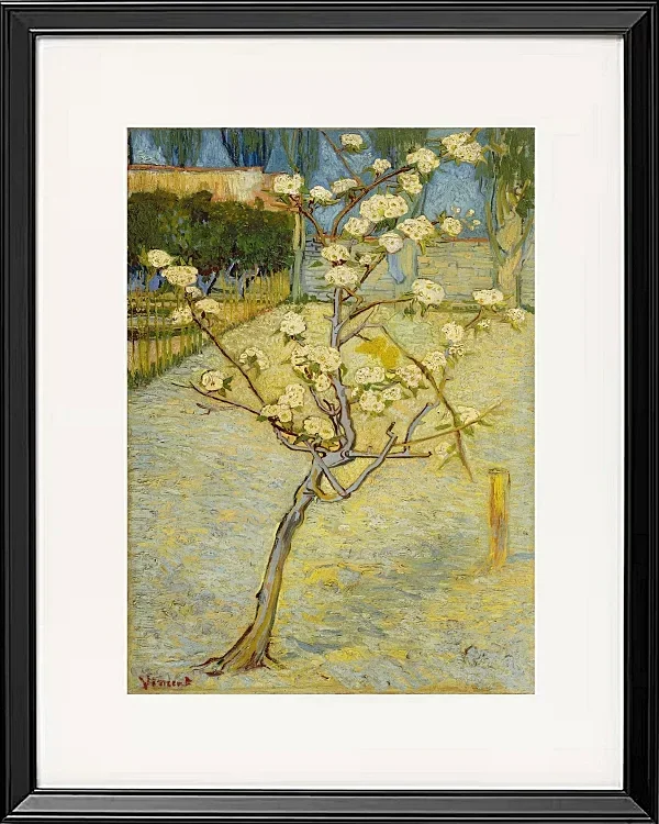 Kleiner Birnbaum in Blüte - 1888