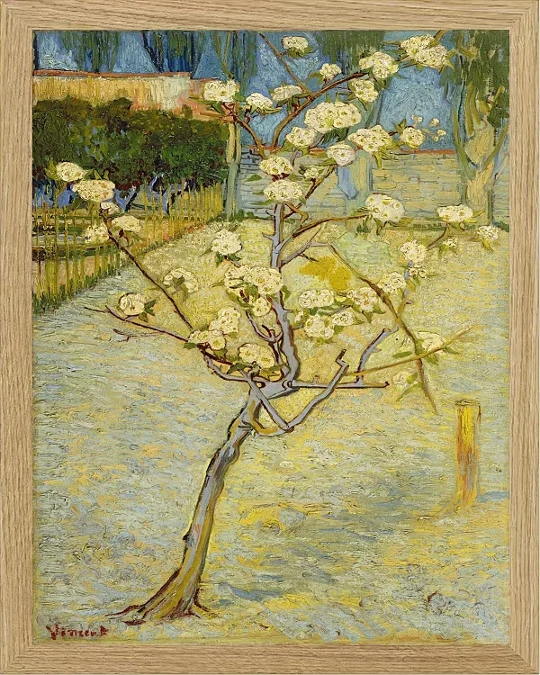 Kleiner Birnbaum in Blüte - 1888