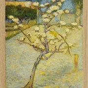 Kleiner Birnbaum in Blüte - 1888