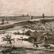 Landskab med mosestammer - 1883