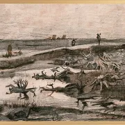 Landskab med mosestammer - 1883