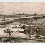 Landskab med mosestammer - 1883