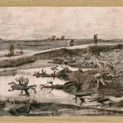 Landskab med mosestammer - 1883