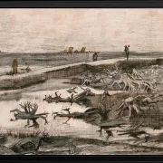Landskab med mosestammer - 1883
