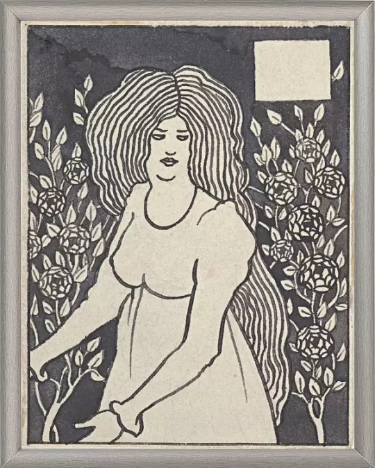 langhåret kvinde - 1894