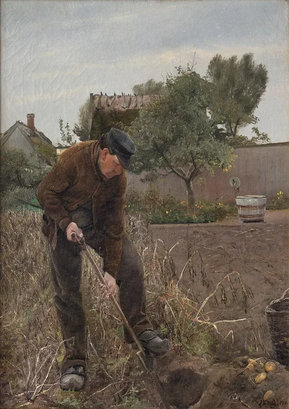Laurits Andersen Ring | En mand som graver kartofler - 1901 | Indrammet kunsttryk | Realisme