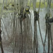Laurits Andersen Ring | Ellestammer - 1893 | Indrammet kunsttryk | Realisme
