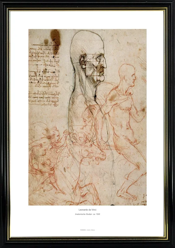 Leonardo da Vinci | Anatomische Studien - 1505 | Gallery Edition | Gerahmter Kunstdruck | Renaissance