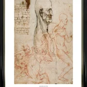 Leonardo da Vinci | Anatomische Studien - 1505 | Gallery Edition | Gerahmter Kunstdruck | Renaissance
