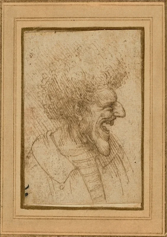 Leonardo da Vinci | Karikatur af en mand med busket hår - 1495 | Indrammet kunsttryk | Renæssance | formida