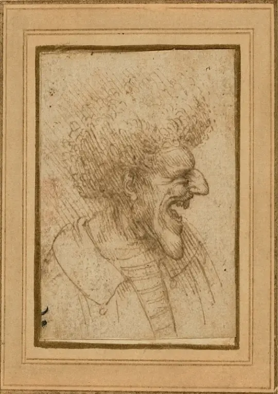 Leonardo da Vinci | Karikatur af en mand med busket hår - 1495 | Indrammet kunsttryk | Renæssance | formida