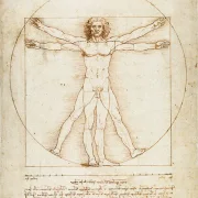 Leonardo da Vinci | Vitruvmann, Proportionszeichnung - 1490 | Giclée Kunstdruck gerahmt